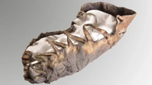 Prehistoric children's shoe